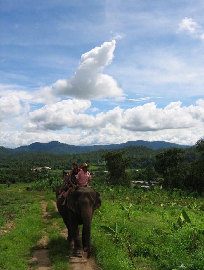 רכיבה על פילים בצפון תאילנד