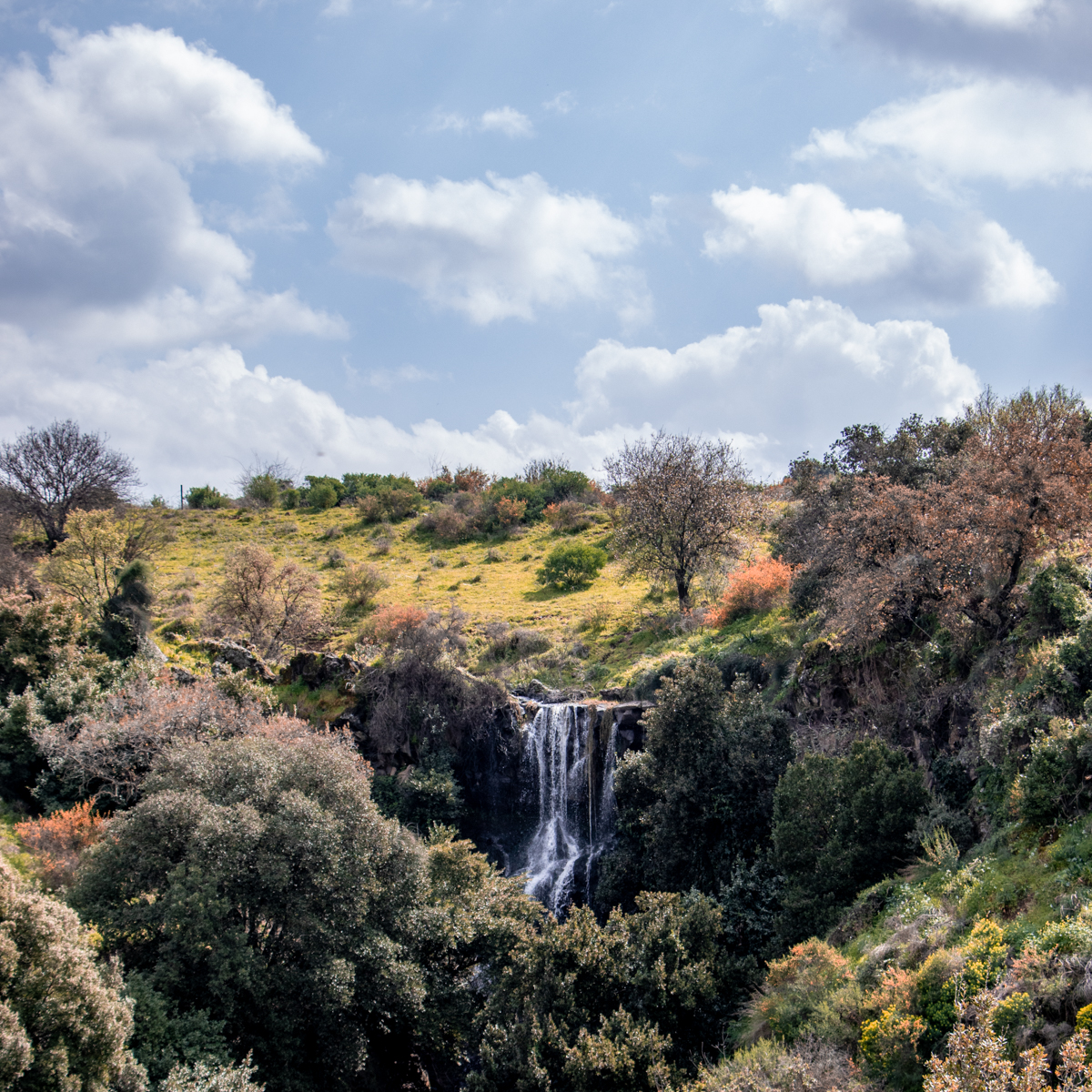 חופשה חורפית בצפון הארץ