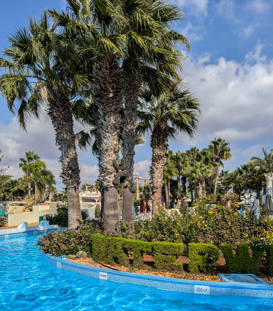 איה נאפה עם ילדים