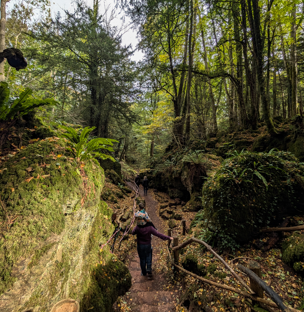 אנגליה עם ילדים