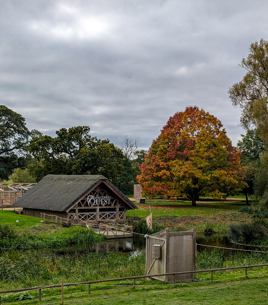 אנגליה עם ילדים