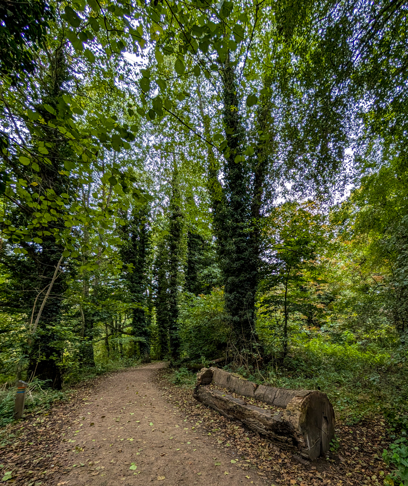טיול משפחתי באנגליה